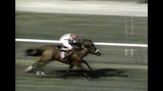 Saratoga & Belmont Racetrack Horse Racing Mid 1990s Live TV Capture Home Video Tape Rip (VHS)