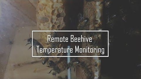 Remote Beehive Temperature Monitoring
