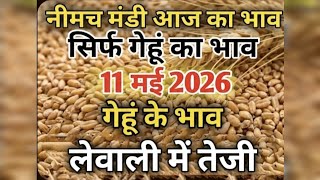  Neemuch Mandi Gehun Bhav Today | नीमच मंडी गेहूं का ताजा भाव आज | Wheat Rate 2026