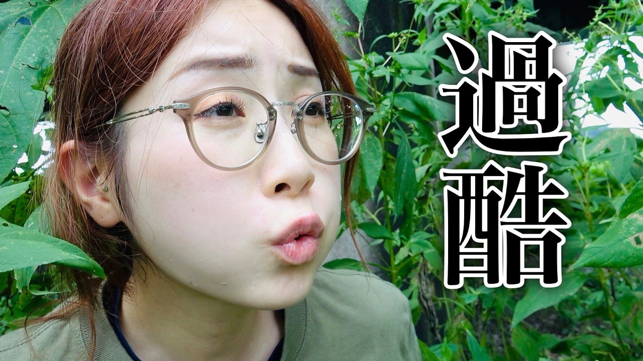 採集３カ所を1日でいっきに回った結果