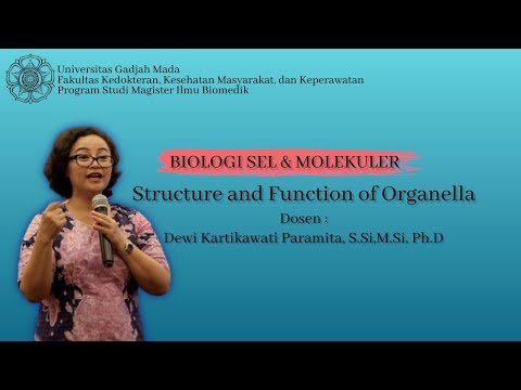 MKDU Prodi Magister Ilmu Biomedik [ Biologi Sel & Molekuler ] Structure and Function Of Organella