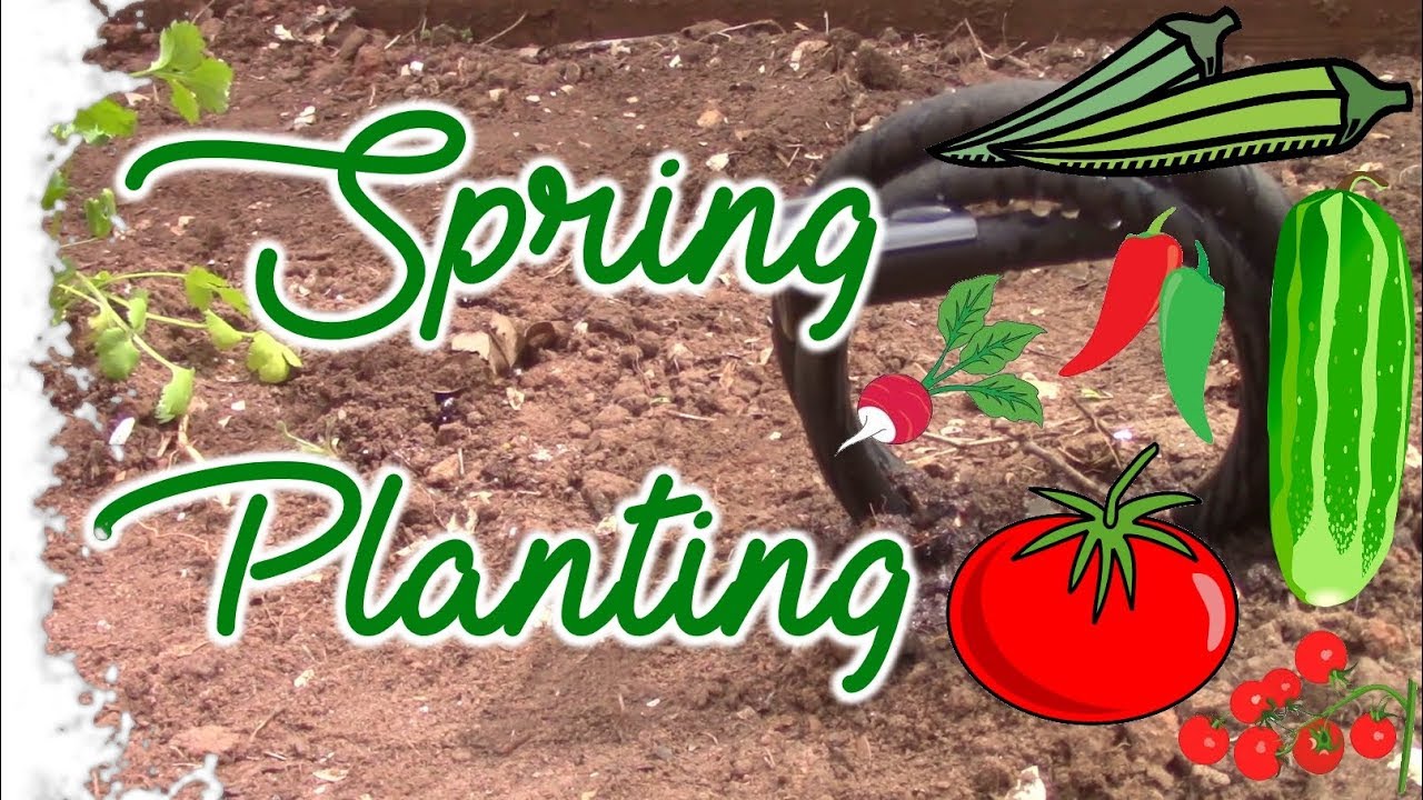 Raised bed + Newspaper Gardening + Planting Timelapse + Ready, Set, Go