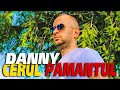 DANNY - CERUL SI PAMANTUL [OFFICIAL VIDEO 2020]