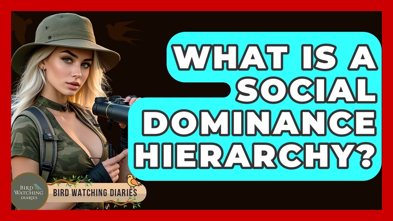 What Is A Social Dominance Hierarchy? - Bird Watching Diaries