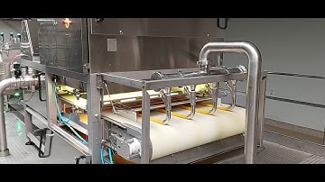 Typhoon: optical sorting machine to examine orange pulp  | RAYTEC VISION SpA