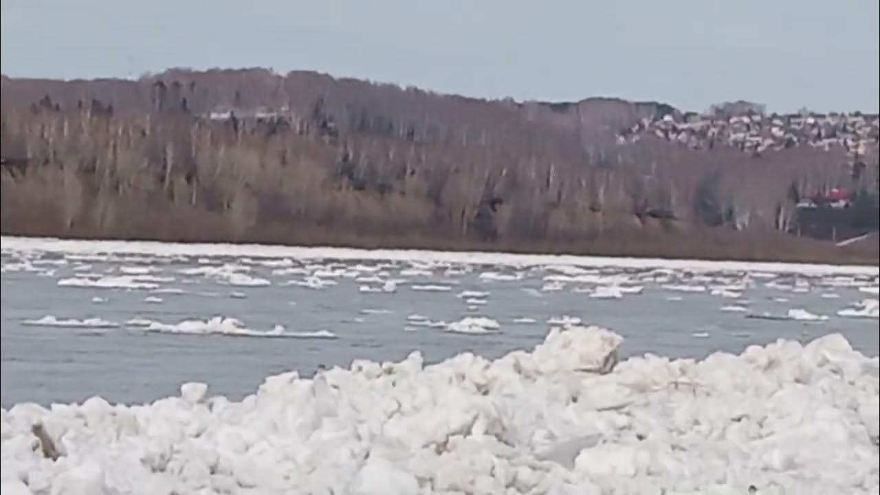 Ледоход в нижнем новгороде 2024. Ледоход на реке Томь 2022. Ледоход в Кемерово 2022. Ледоход в Майзасе Кемерово. Ледоход на Томи 2023 в Кемерово.