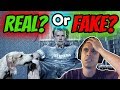 REAL OR FAKE CHALLENGE! | 25 Years of Photoshop | Is it real or Photoshop?