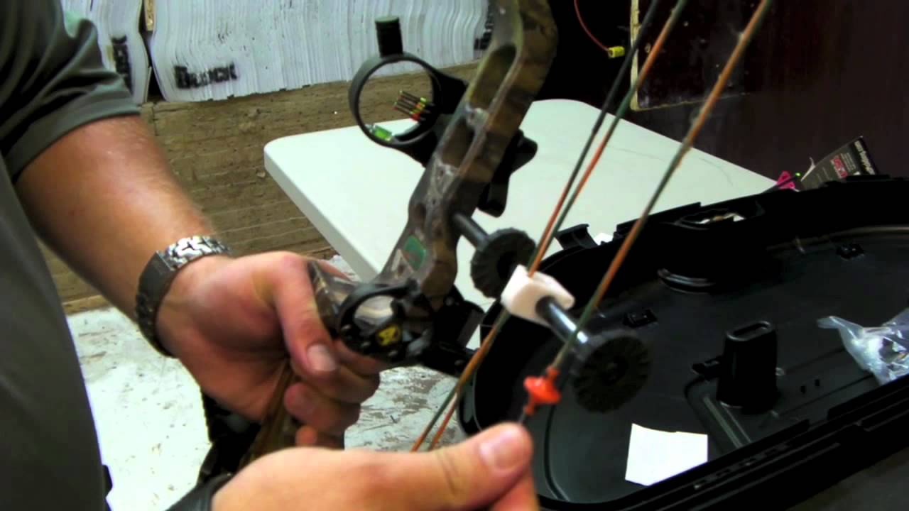 Used Bear The Truth Bow Ready to Shoot for sale on eBay (SOLD) YouTube