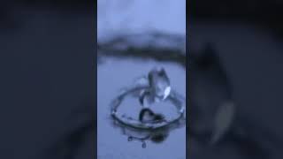 Water Drop Sound Effect