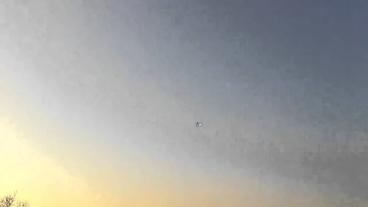 Align T-Rex 450 Pro      decimo volo