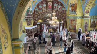 Народилось нове покоління