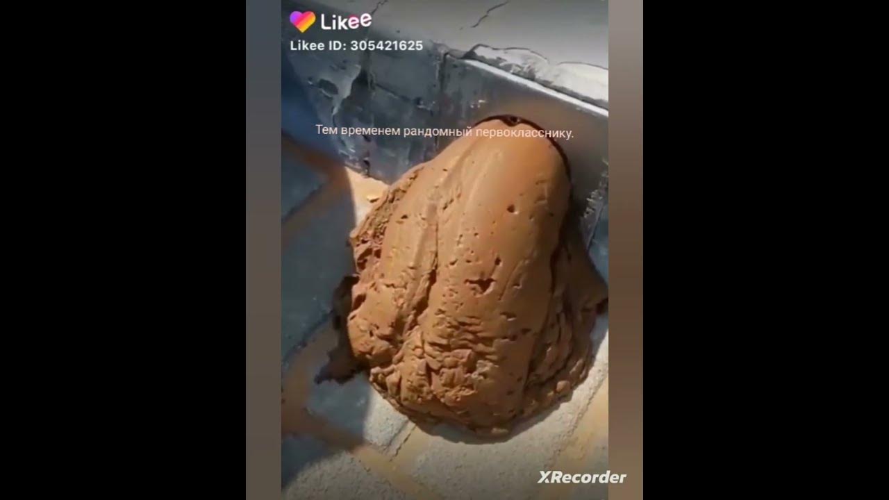 срака - YouTube