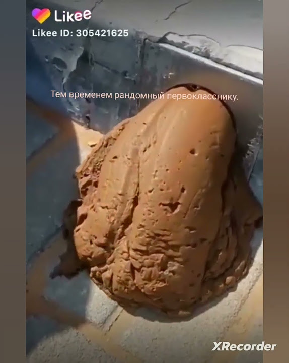 срака - YouTube