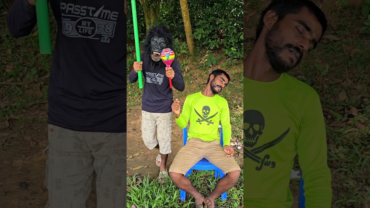 Gorilla Tried to Steal Big Brother’s Lollipop… But Watch What Happened Next! 🍭🦍😱