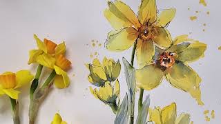 Paint Daffodils in loose watercolour