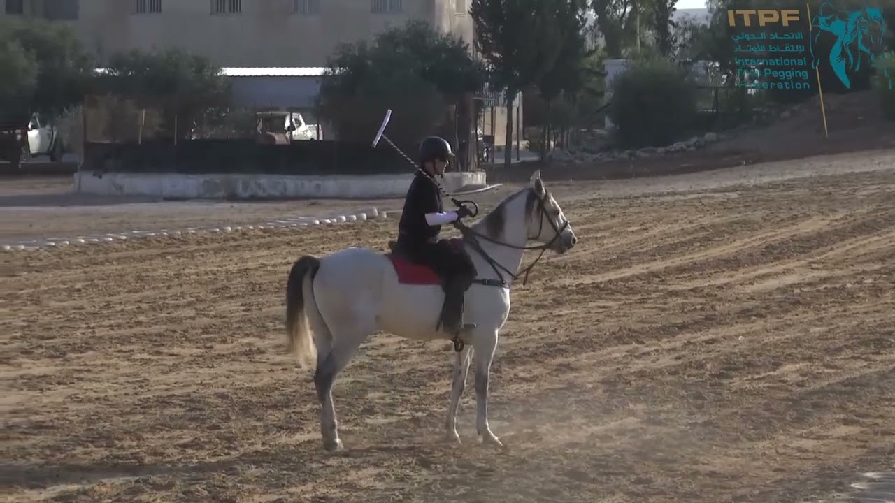 تعلم كيف تستخدم السيف في التقاط الأوتاد Learn how to use the sword to Tent Pegging