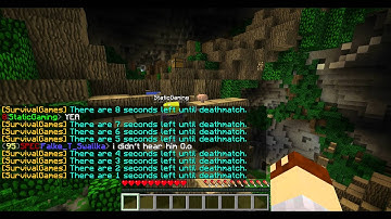 mcsg hacker: StaticGaming