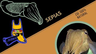Sepias: What's that crazy thing, mae? | Ep 95| COLMILLUDA CULTURE