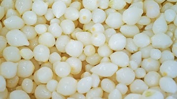 TOMRA 5B | Silver Onions Sorting