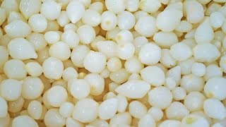 TOMRA 5B | Silver Onions Sorting