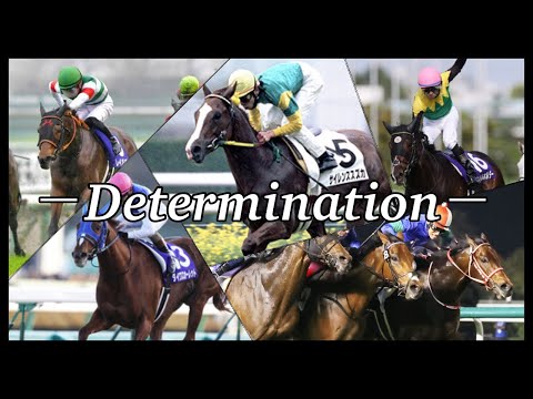 【競馬MAD】Determination〜麗しき逃亡者たち〜