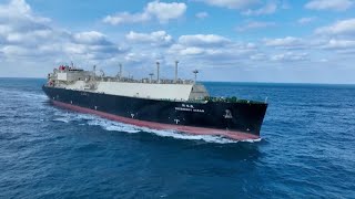 China's largest liquefied gas carrier delivered in Shanghai