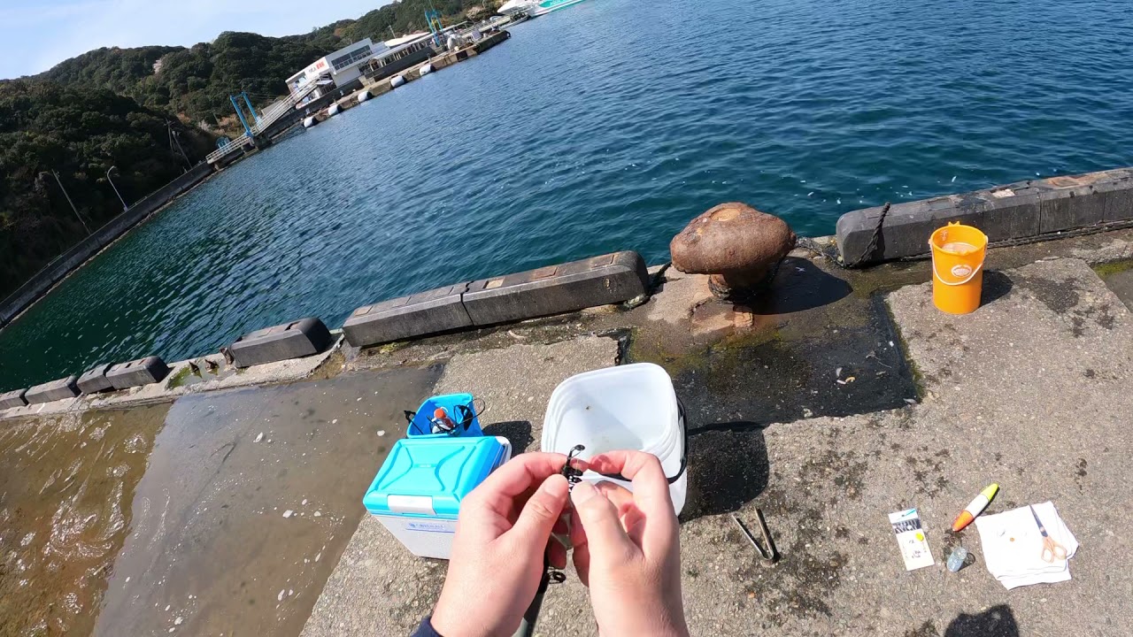 鳴門 サビキ釣り 初心者 仕掛け Youtube