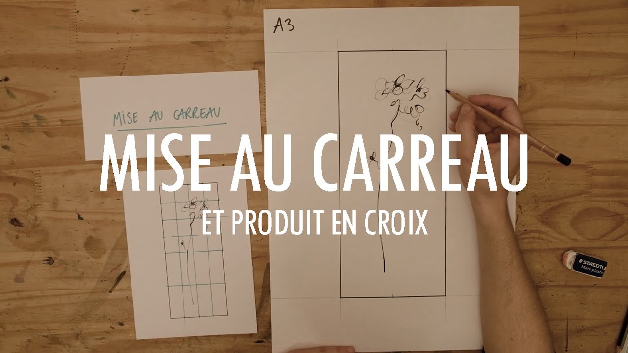 Mise au carreau & Produit en croix | agrandir et réduire un dessin en gardant les proportions