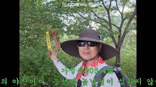 태복산 영상