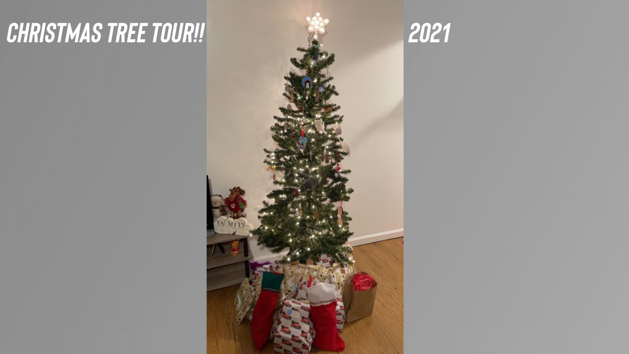christmas tree tour 2021!! | audrey & taylor