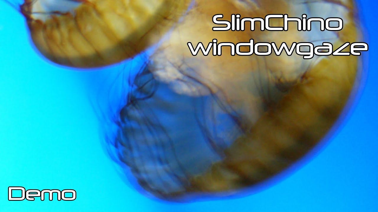 windowgaze (Demo)