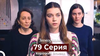 Зимородок 79 Cерия (Короткий Эпизод) (Русский Дубляж)