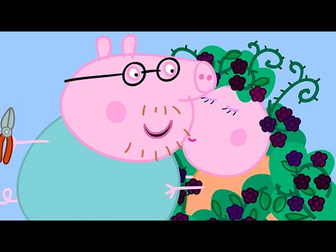 MUMMY PIG GETS STUCK IN A BERRY BUSH
