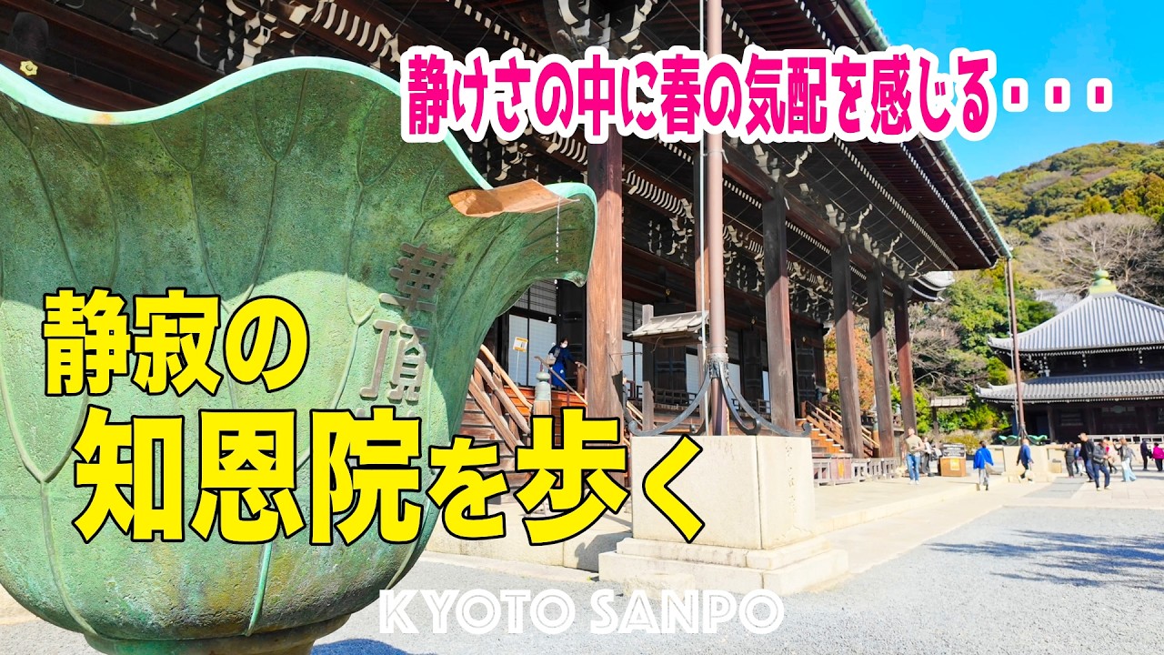 2026/3/1 (日) 🌸春風感じる京都Vlog🌸 静けさの中に春の気配を感じる 静寂の空間『知恩院』暖かな陽気に包まれる京都東山観光Vlog/春の京都/春さんぽ/Kyoto walk [京都4K]