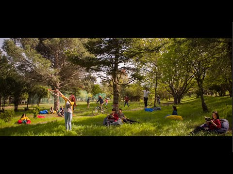 თავისუფალი და აგრარული უნივერსიტეტები