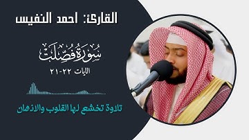 القارئ احمد النفيس سورة فصلت || الايات ( 37-38 )
