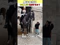 馬は日本人と中国人を見分けてる？