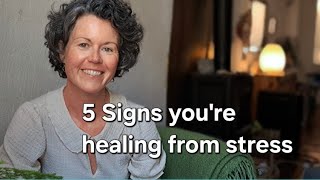 5 Signs Your Nervous System Is Healing (that don't FEEL like healing)