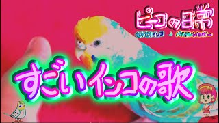 ピーコの日常〜すごいインコの歌💕