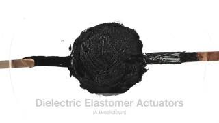 The Basics of Dielectric Elastomers screenshot 4