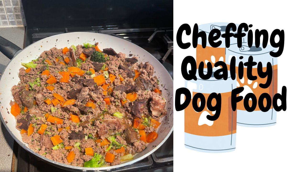 Perfect Homemade dog food homemadedogfood YouTube