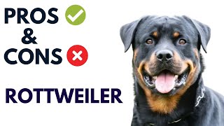 Rottweiler Pros and Cons | Rottweiler Dog Advantages and Disadvantages  #AnimalPlatoon