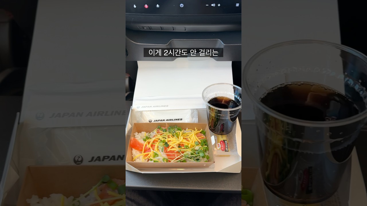 도쿄행 비행기에 나오는 기내식
