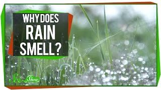 Video thumbnail of "Why Does Rain Smell?"