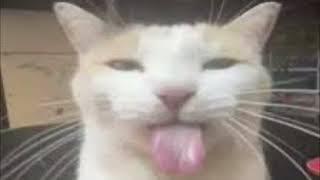 Miley Cyrus ~ Party In The U.S.A {pluggnb remix ~ Willare} WITH BASS edit (slowed \u0026 reverb)