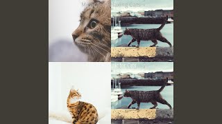 Subdued Kittens
