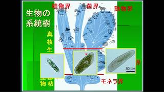 4/5　令和３年度　石けん系消火剤に関する研修「泡消火剤の環境性能」