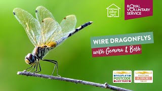 Make a wire dragonfly with Gemma & Beth