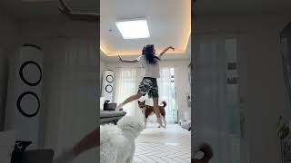 쇼츠 인급동 갔을 때의 나