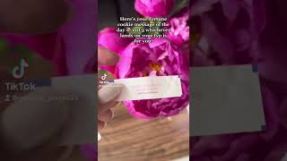 Your Fortune Cookie Message of the Day 🤩